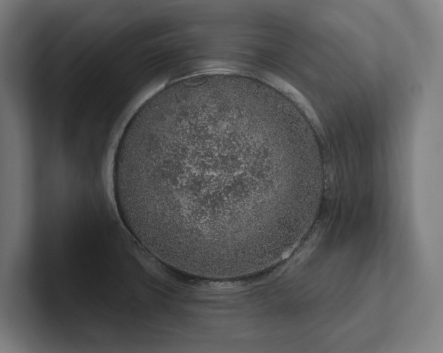 X0000102361427200808011443