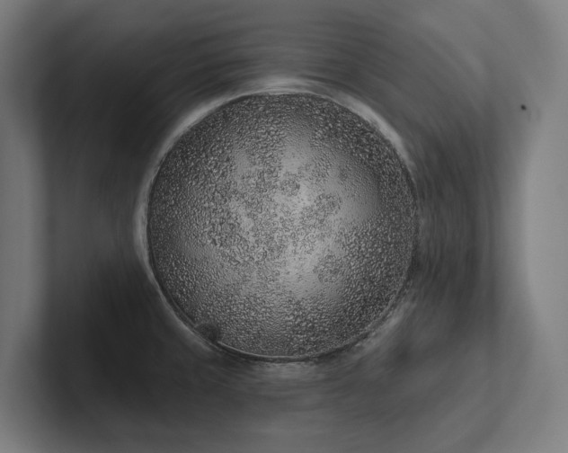 X0000102361429200808011443