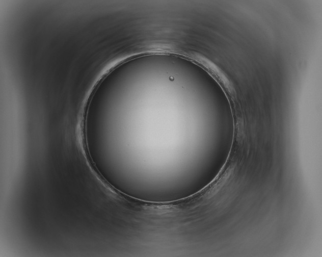 X0000102361432200808011443