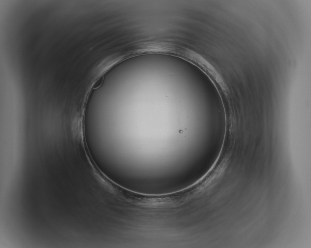 X0000102361433200808011443