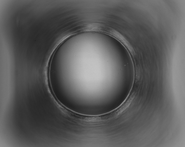 X0000102361434200808011443