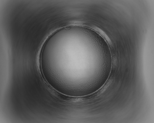 X0000102361435200808011443