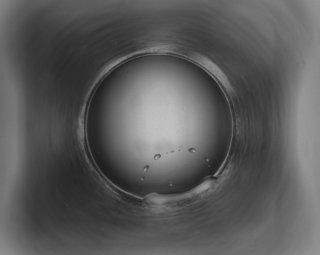 X0000102361436200808011443