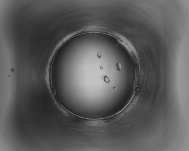 X0000102361437200808011443