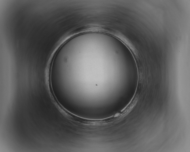 X0000102361438200808011443