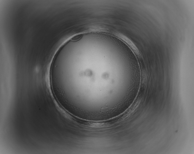 X0000102361439200808011443