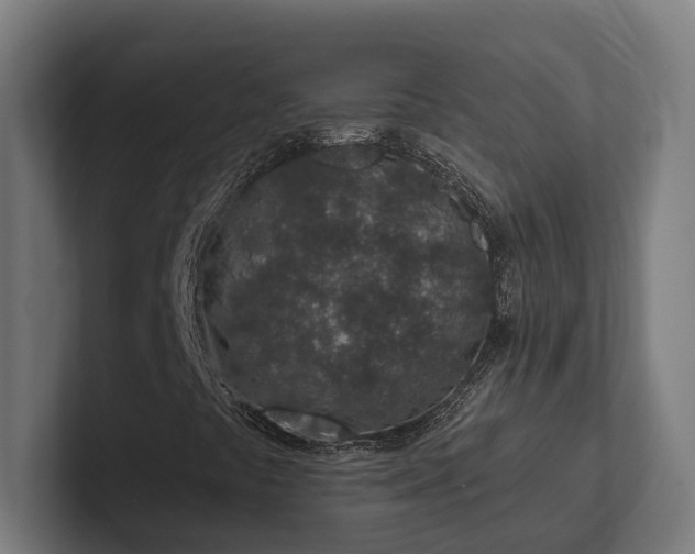 X0000102361441200808011442
