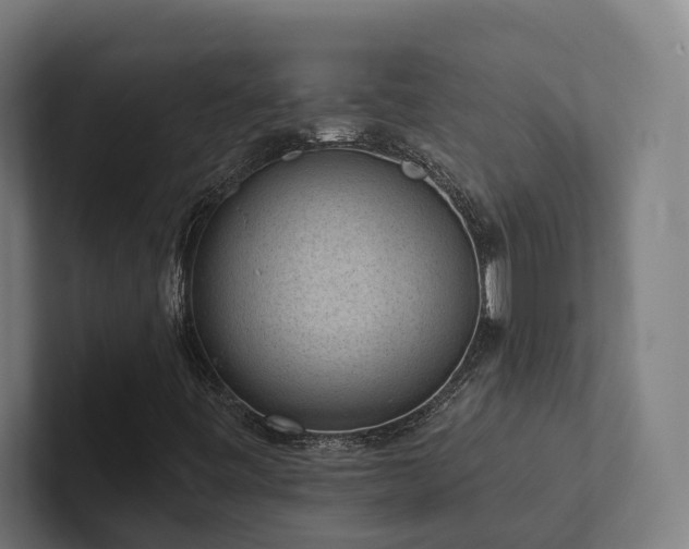 X0000102361443200808011442