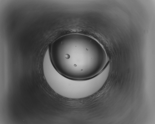 X0000102361444200808011442