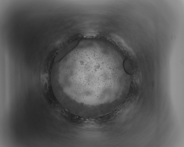X0000102361445200808011442