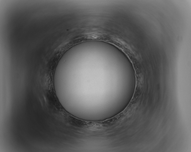 X0000102361446200808011442