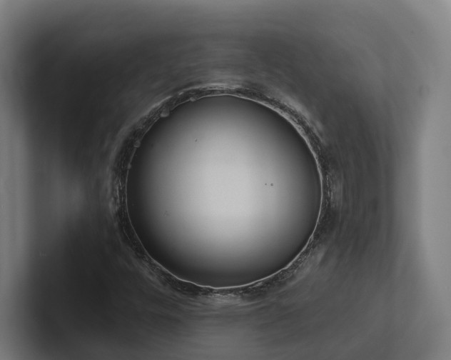 X0000102361448200808011442