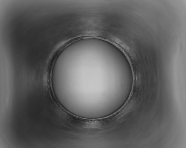 X0000102361454200808011442