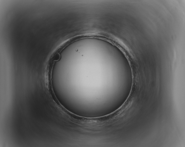 X0000102361456200808011442
