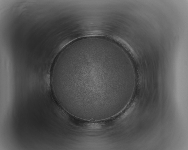 X0000102361457200808011442