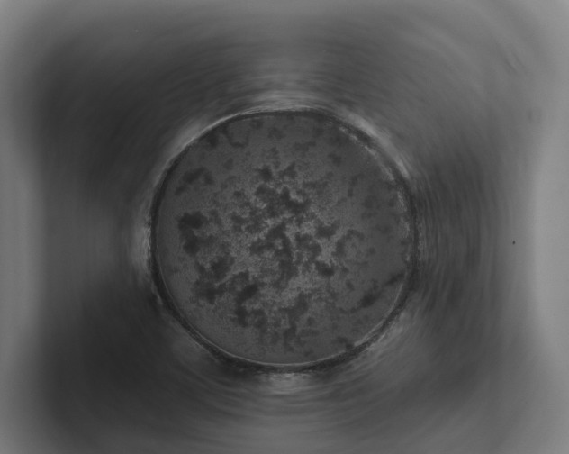 X0000102361459200808011442