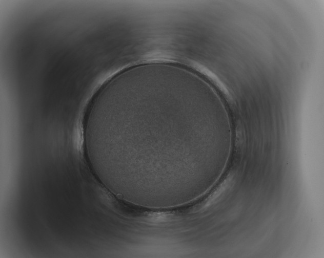 X0000102361461200808011442