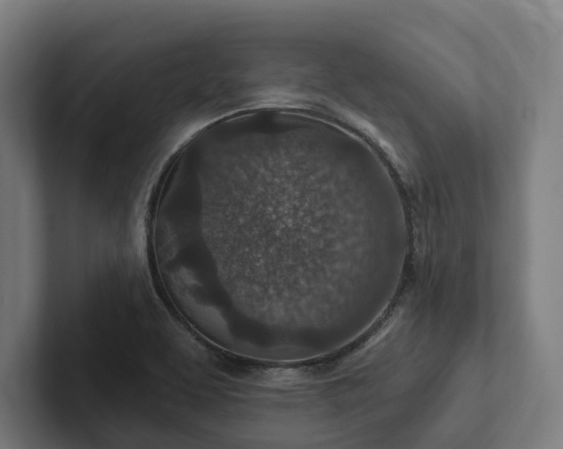 X0000102361463200808011442