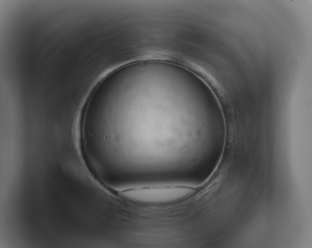 X0000102361471200808011442