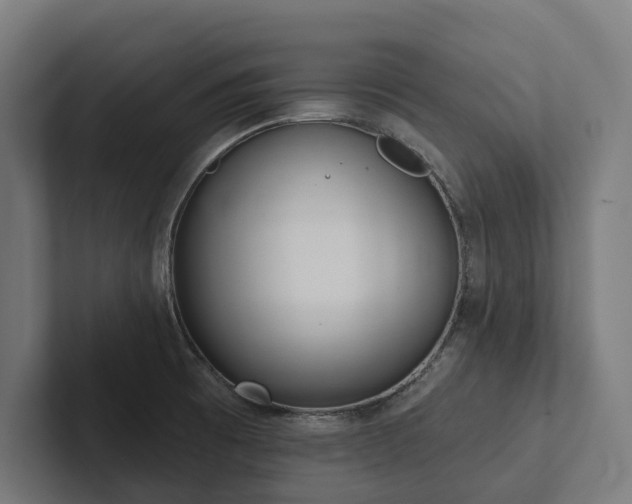 X0000102361473200808011442