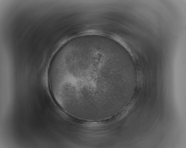 X0000102361474200808011442