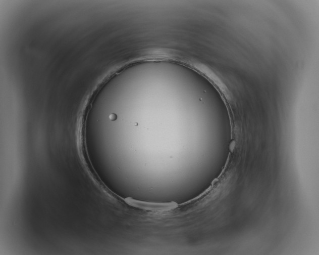 X0000102361477200808011442