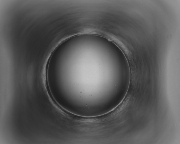 X0000102361479200808011442