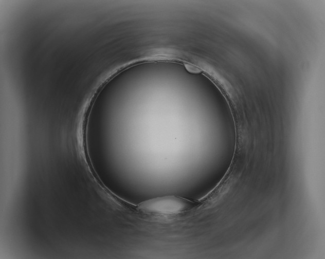 X0000102361480200808011442