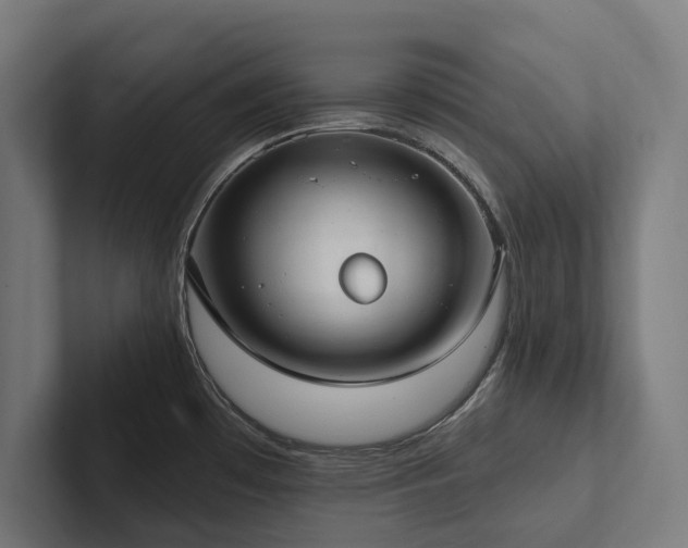 X0000102361481200808011442