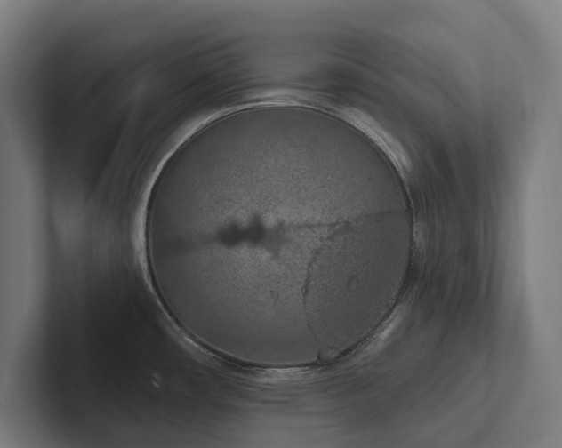 X0000102361482200808011442