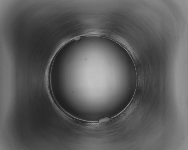 X0000102361483200808011442
