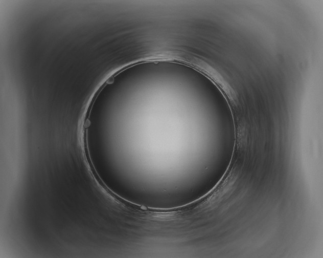 X0000102361484200808011442