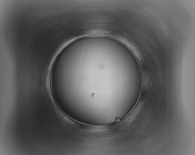 X0000102361486200808011442