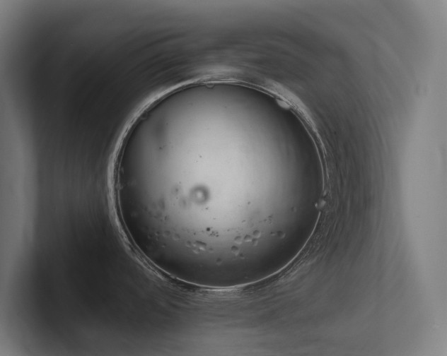 X0000102361488200808011442