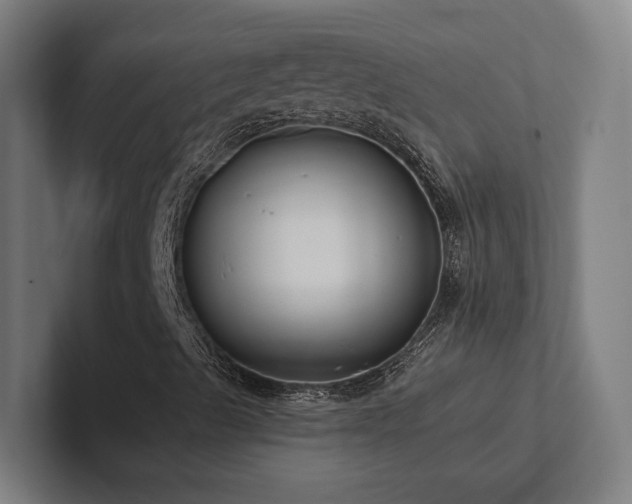 X0000102361489200808011441