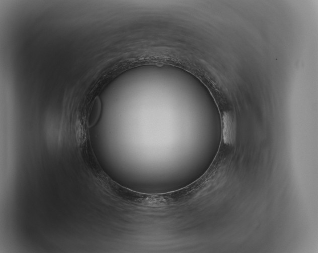 X0000102361491200808011441
