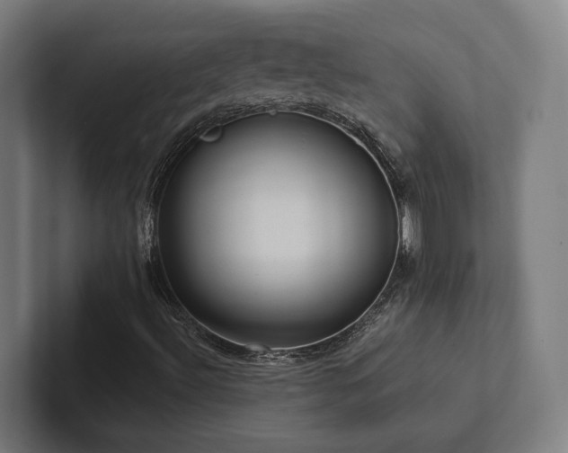 X0000102361492200808011441