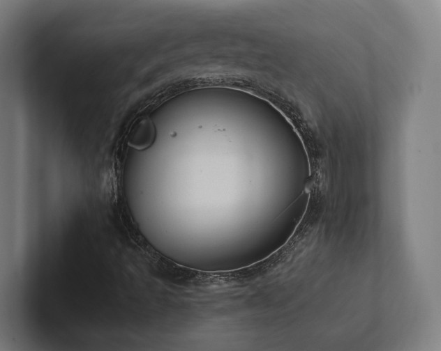X0000102361493200808011441