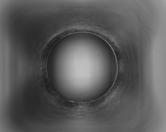 X0000102361494200808011441