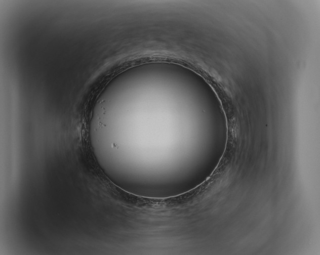 X0000102361495200808011441