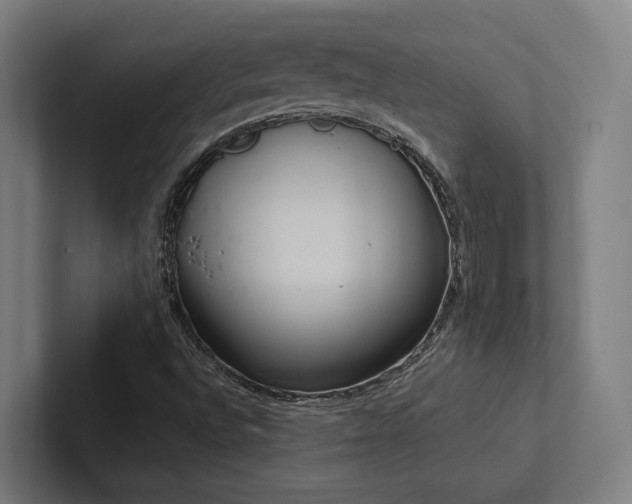 X0000102361496200808011441