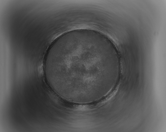 X0000102361497200808011441
