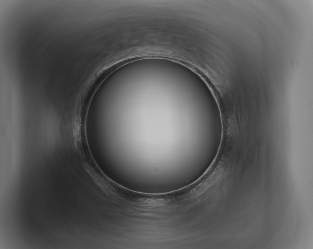 X0000102361499200808011441