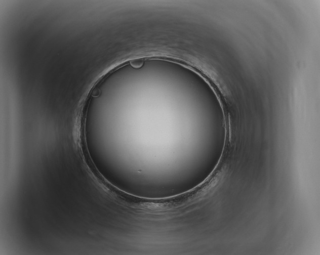 X0000102361500200808011441