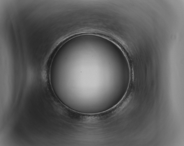 X0000102361501200808011441