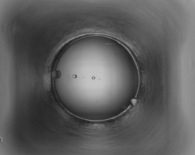 X0000102361503200808011441