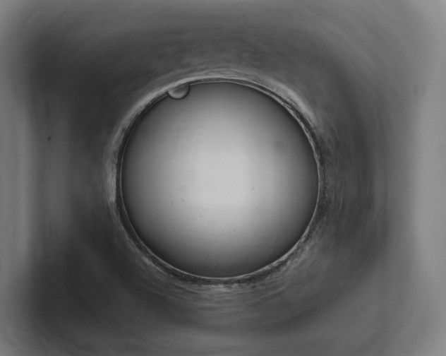 X0000102361504200808011441