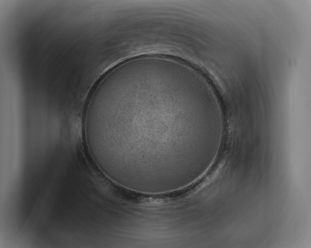 X0000102361505200808011441