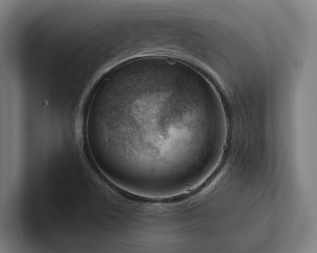 X0000102361506200808011441