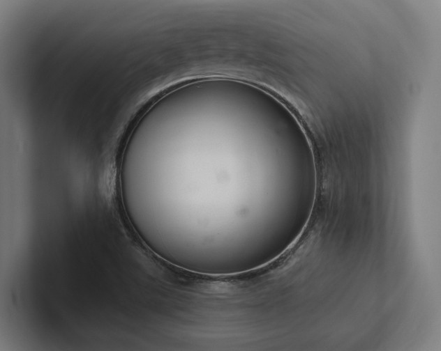 X0000102361507200808011441